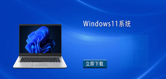 Win11ϵͳ-Win11רҵ��-Windows11ϵͳ����
