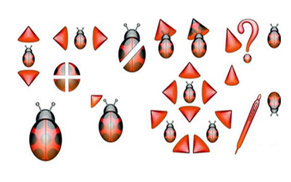 Ladybugָ