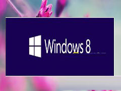 ϵͳװ win8.1