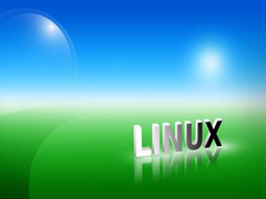 Linux�²���ѹѹ���ļ����ֱ�Ӳ鿴ĳ���ļ���С