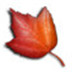 Maple(ѧ͹̼) V8.31 Ӣİ