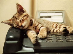 Win10�û���Թ΢���ͷ����ص绰