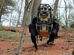 ��ţ�����˹�˾��ȻҪ���ȸ�����