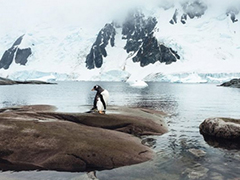 iPhone��ͷ�µ��ϼ� ��������ȴʤ������