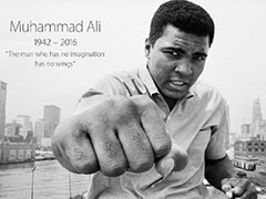 ƻ�������¾�ȭ�����û����������û�г��