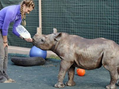 ΢����ɧ�žٶ�����Σ�������ޱ���������ʿ��������ȫ