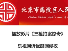 ���������ſ��������ǹ�İ����桷 ����Ȩ����9.5��Ԫ