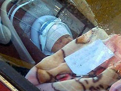 ����ͯ�������� ������Ԥ������