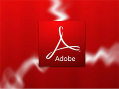 Adobe�������� Flash������©��