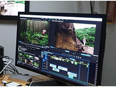 Adobe Premiere����������֧��VR��Ƶ����