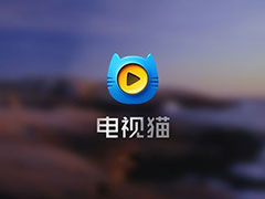 �����ߵ���è�Ƿ����� ��Ȩ����50��