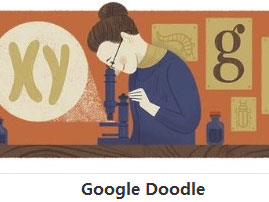 Google Doodle YȾɫ巢
