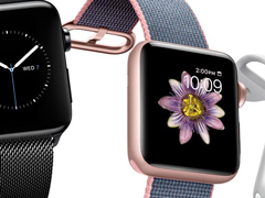 Apple Watch33.5%гռʸ߾Ӱ