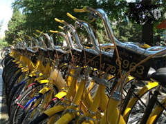 ofo1.3ԪC εΡСͶ