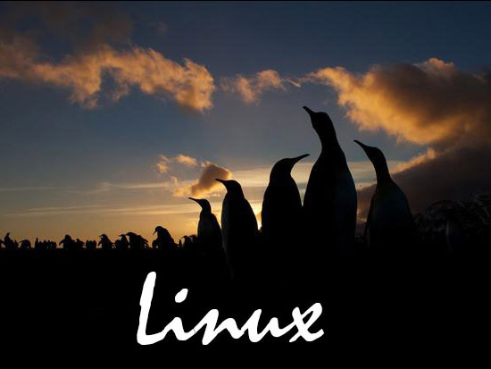 LinuxϵͳΪģLinuxЩص㣿