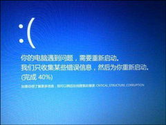 Win10CRITICAL_STRUCTURE_CORRUPTIONô