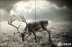 ôʹPSģƬPhotoshopģƬ̳
