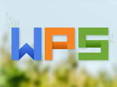 wpsô׼ߣwps׼ߵķ