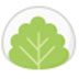 Mochi(ʼ) V1.6.5 Ӣİװ