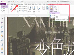 PDF༭ôҳ룿