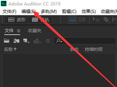 AuditionôĬϻ·