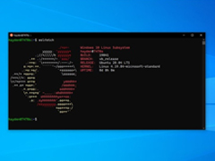 ΢ϼUbuntu 20.04 LTS on Windows