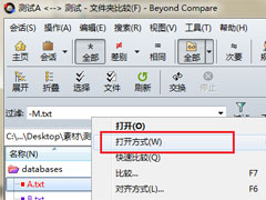Beyond CompareôȽļת༭ҳ棿