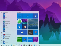 ΢win10ϵͳǳɫϵ