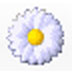 GSA Image Analyser(ͼ) V4.0.9 Ӣİװ