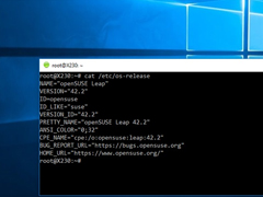 WSLش£΢Win10ʹLinux GUI 