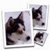 SimilaEnlarger V0.9.0 ɫӢİ