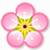 ÷˫ʵ V1.0.1.0 ɫ