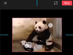 ӳôüƵߴ磿ӳappüƵߴķ