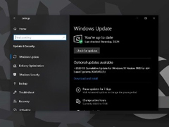 ޸ӡ⣡΢Win 10 KB4567523