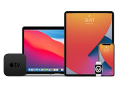 iOS 14ʽֻ