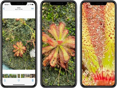 iOS 14ͼƬŴܽһǿϸ΢ļ