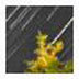 Startrails V2.3 ɫ