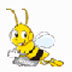 ͨ V1.5.0 ɫİ
