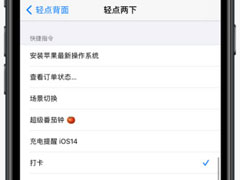 iOS 14ȫ¹ܣ㱳
