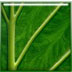 sharpener pro(PS˾) V3.0 ԰װ