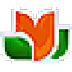 ѧδʦ V20120225 ԰װ