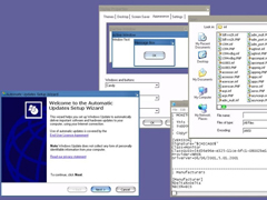 ΢һMacWindows XP