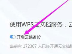 wpsôƶ˱ݣwps2019ƶ˱ݵķ