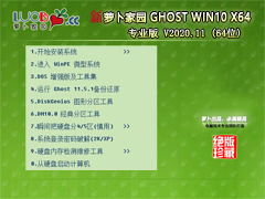 ܲ԰ WINDOWS10 64λ רҵ V2020.11