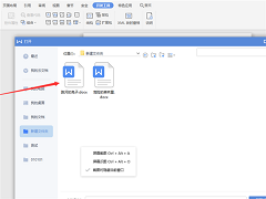 WPSWord岽ǩ