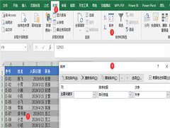 WPS ExcelԶз