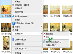 Win10ϵͳ֧RAWͼƬ鿴ķ