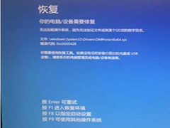 Win10ϵͳDMProtectEX64.sys,0xc0000428