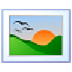 Flora Screensaver(ֲĻ) V1.0 ٷ