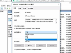 Win10θ£Win10θµϸ